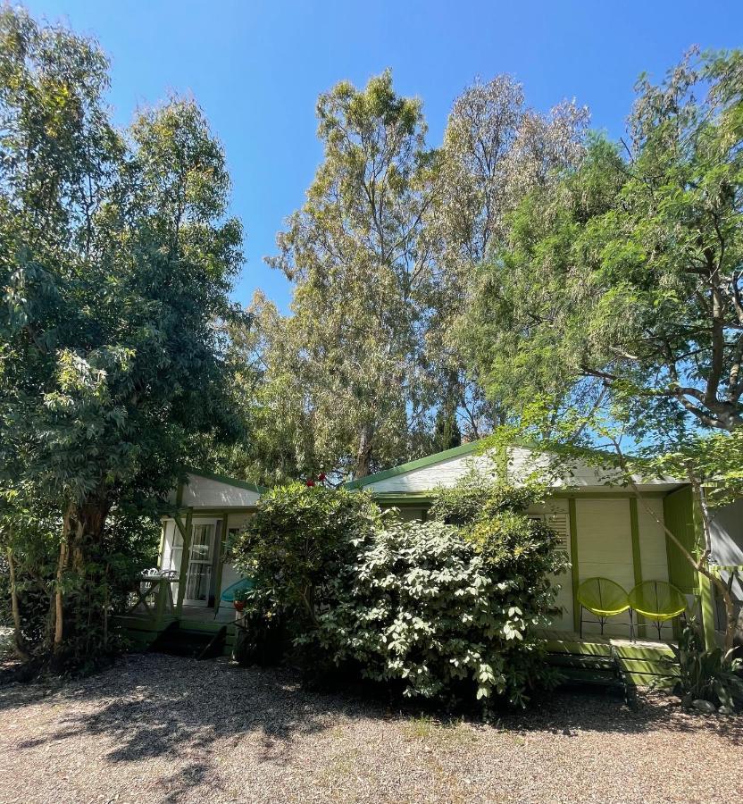 Camping La Cle Des Champs Calvi  Eksteriør bilde