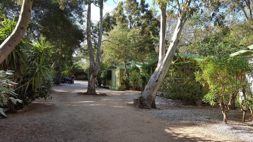 Camping La Cle Des Champs Calvi  Eksteriør bilde